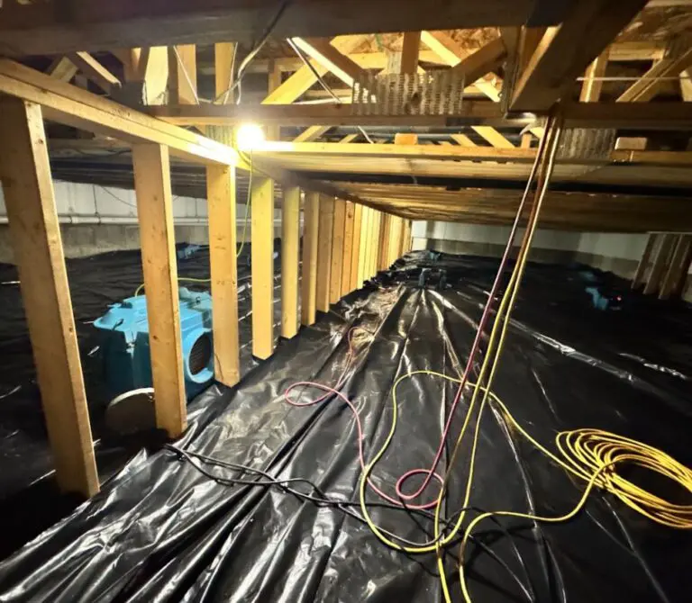 Basement of home with water being dried with a fan