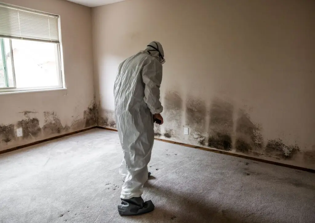 Man in a hazmat suit working on mold restoration in a home