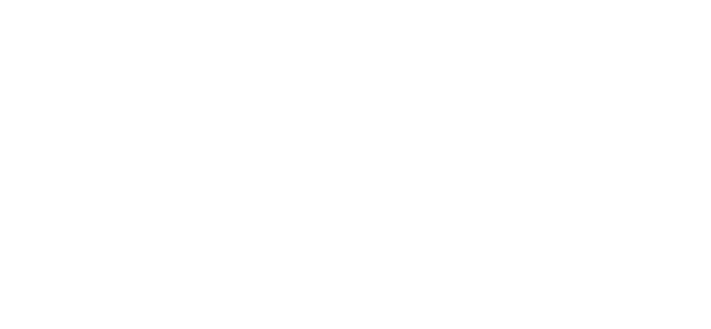 Rapid Rescue Water Damage and Mold Restoration Logo White