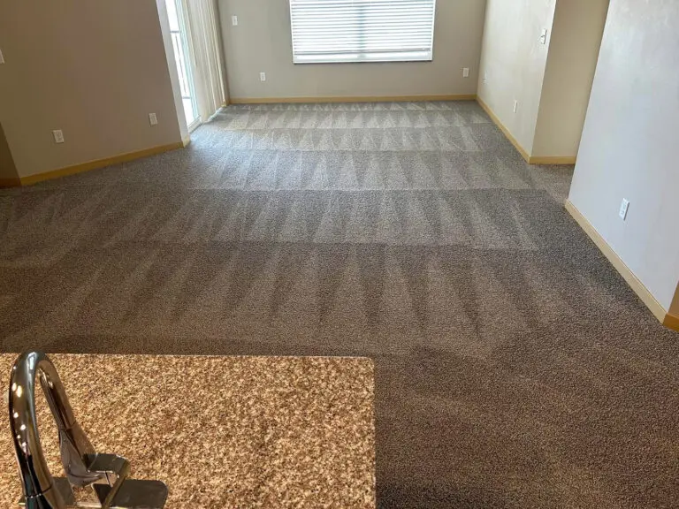 Living room carpet cleaned by Rapid Rescue